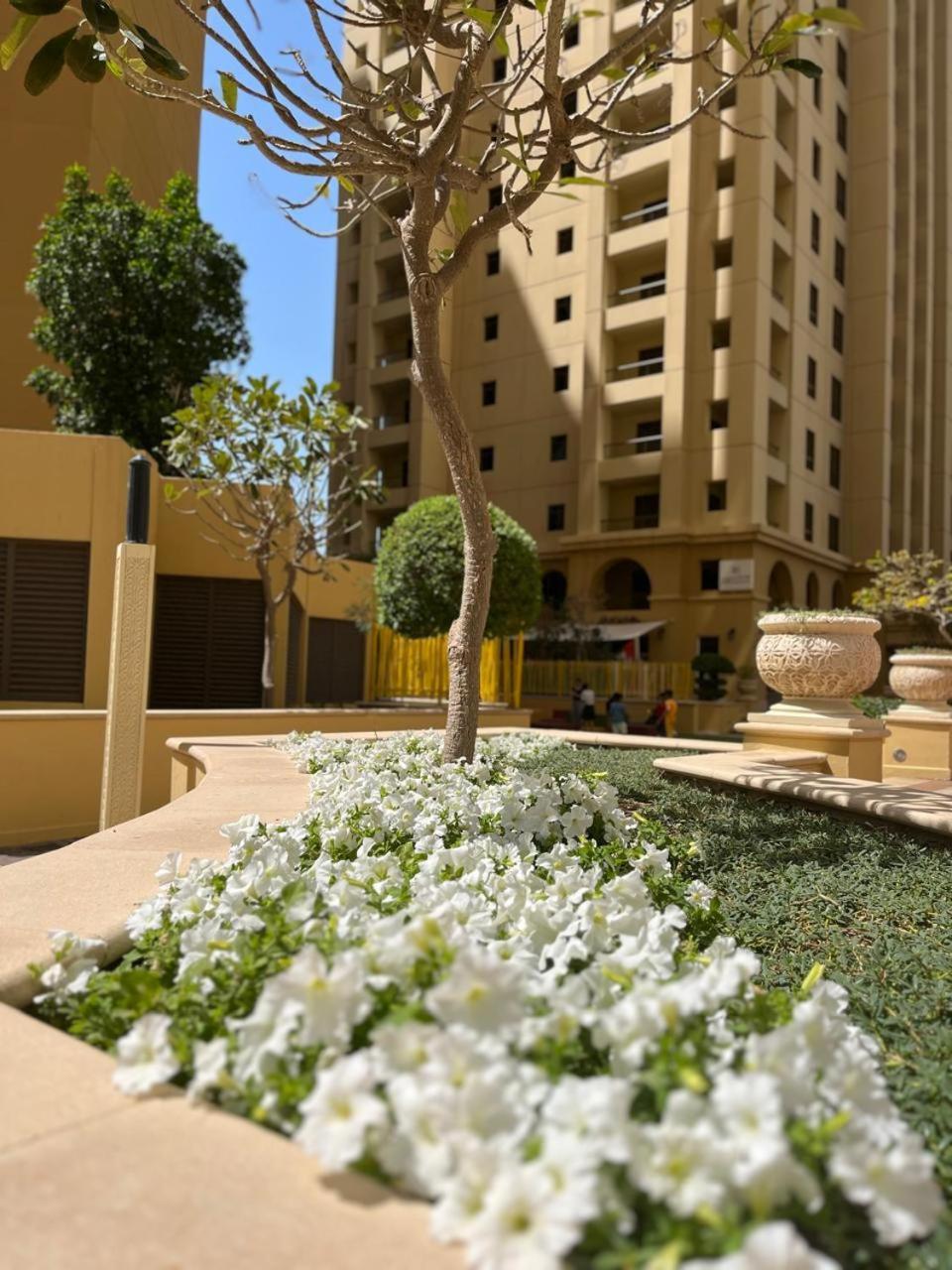 Pirates Bay Hostel Dubai Bagian luar foto